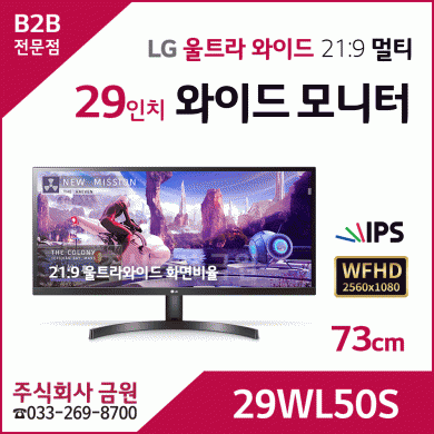 LG 울트라와이드 29인치 모니터 29WL50S