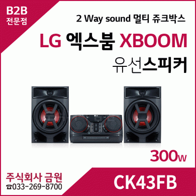 LG XBOOM 고출력오디오 엑스붐 CK43FB