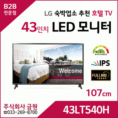LG 43인치 LED TV 43LT540H