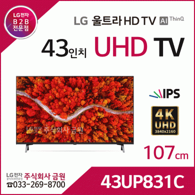 LG 43인치 4K UHD 울트라HD LED TV 43UP831C