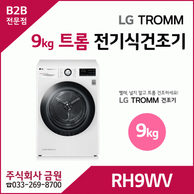 LG 트롬 9kg 전기식 건조기 RH9WV