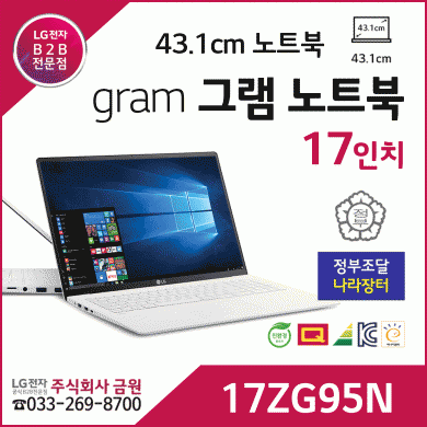 LG 그램 gram 노트북 17인치 17ZG95N - 정부조달