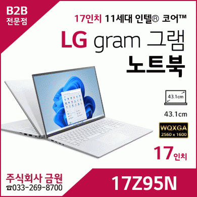 LG 그램 gram 노트북 17인치 17Z95N