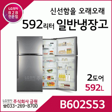 LG전자 2도어 일반냉장고 B602S53