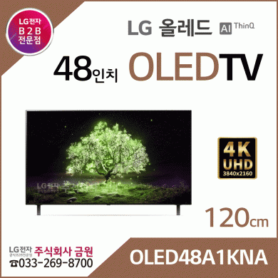 LG 48인치 올레드 OLED TV OLED48A1KNA - 스마트씽큐AI