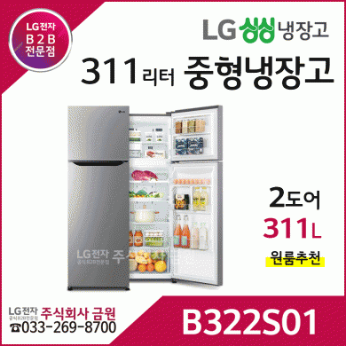 LG 중형냉장고 311리터 B322S01