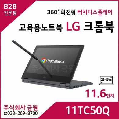 LG 교육용노트북 크롬북 11TC50Q-EC10K