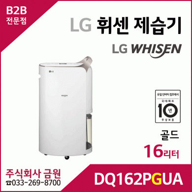 LG 휘센 제습기 DQ162PGUA