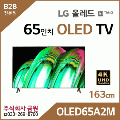 LG 65인치 올레드 OLED TV OLED65A2M - 스마트씽큐AI