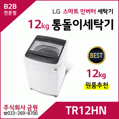 LG전자 12kg 통돌이세탁기 TR12WL