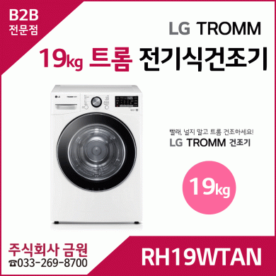 LG 트롬 19kg 전기식 건조기 RH19WTAN
