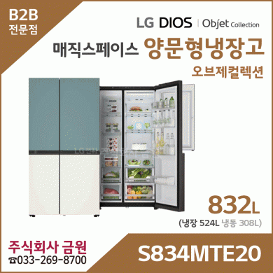 LG 디오스 오브제컬렉션 매직스페이스 양문형 냉장고 S834MTE20