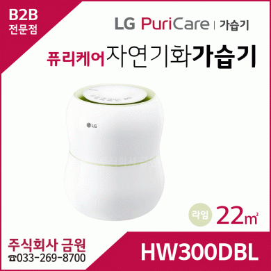 LG 퓨리케어 자연기화 가습기 HW300DBL