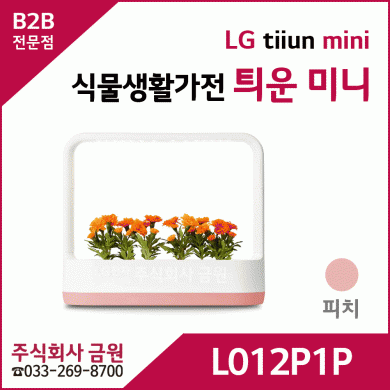 LG 식물생활가전 틔운 미니 L012P1P