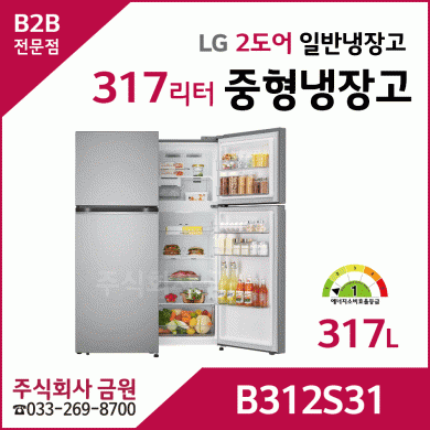 LG 2도어 일반냉장고 B312S31