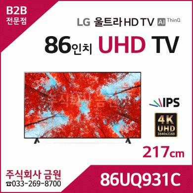 LG 86인치 4K UHD LED TV 86UQ931C