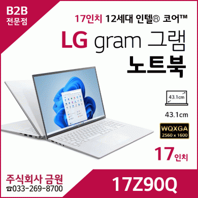 LG 그램 gram 노트북 17인치 17Z90Q