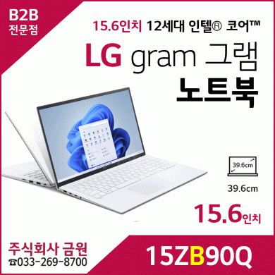 LG 그램 gram 노트북 15.6인치 15ZB90Q