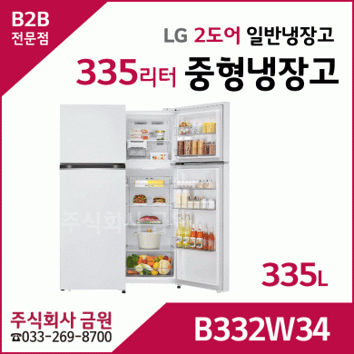 LG 335리터 중형냉장고 B332W34