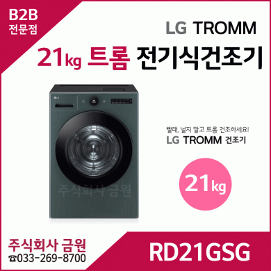 LG 트롬 오브제컬렉션 21kg 전기식 건조기 RD21GSG