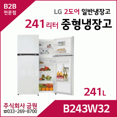 LG전자 241리터 2도어 일반냉장고 B243W32