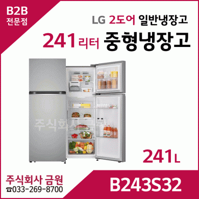 LG전자 241리터 2도어 일반냉장고 B243S32