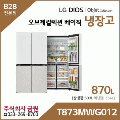 LG 디오스 오브제컬렉션 베이직 양문형 냉장고 T873MWG012
