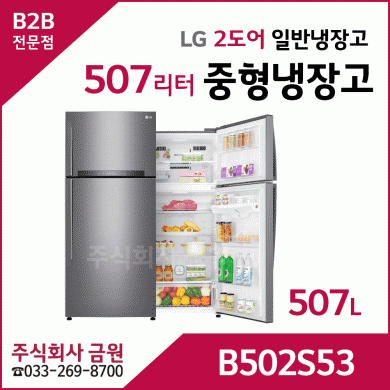 LG 2도어 일반냉장고 B502S53