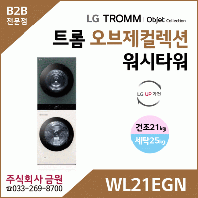 LG 트롬 오브제컬렉션 워시타워 WL21EGN
