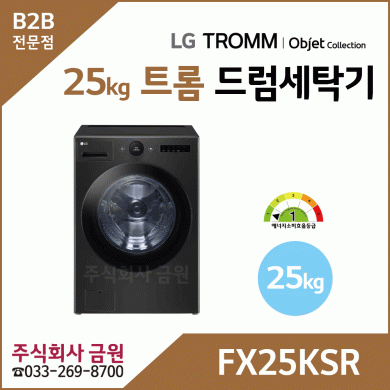 LG 트롬 25kg 오브제컬렉션 드럼세탁기 FX25KSR
