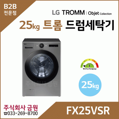 LG 트롬 25kg 오브제컬렉션 드럼세탁기 FX25VSR