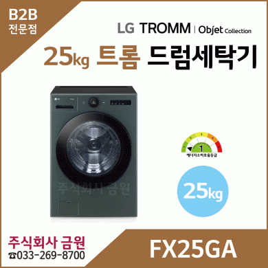 LG 트롬 25kg 오브제컬렉션 드럼세탁기 FX25GA
