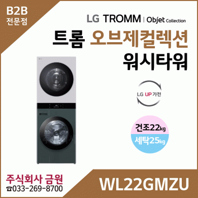 LG 트롬 오브제컬렉션 워시타워 WL22GMZU