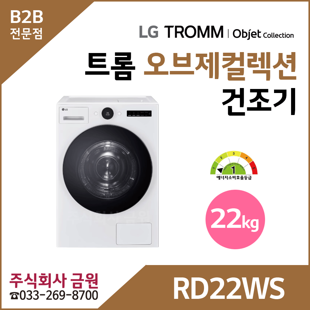 LG 트롬 22kg 전기식 건조기 RD22WS