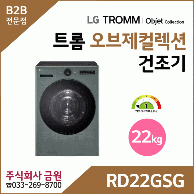 LG 트롬 22kg 전기식 건조기 RD22GSG
