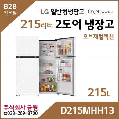 LG 2도어 일반냉장고 D215MHH13