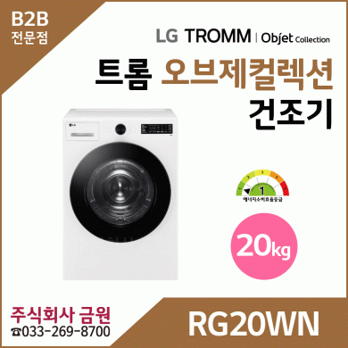 LG 트롬 20kg 전기식 건조기 RG20WN