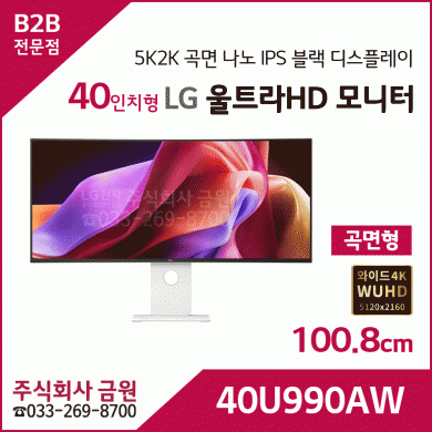 LG LG 울트라HD 모니터 40U990AW