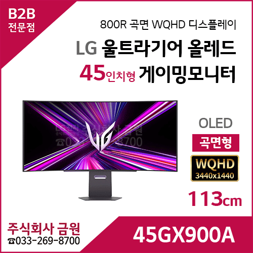 LG 울트라기어 올레드 게이밍모니터 45GX900A