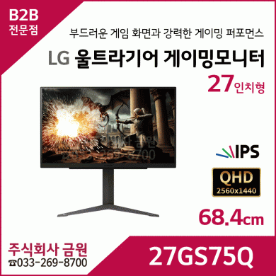 LG 울트라기어 게이밍모니터 27GS75Q